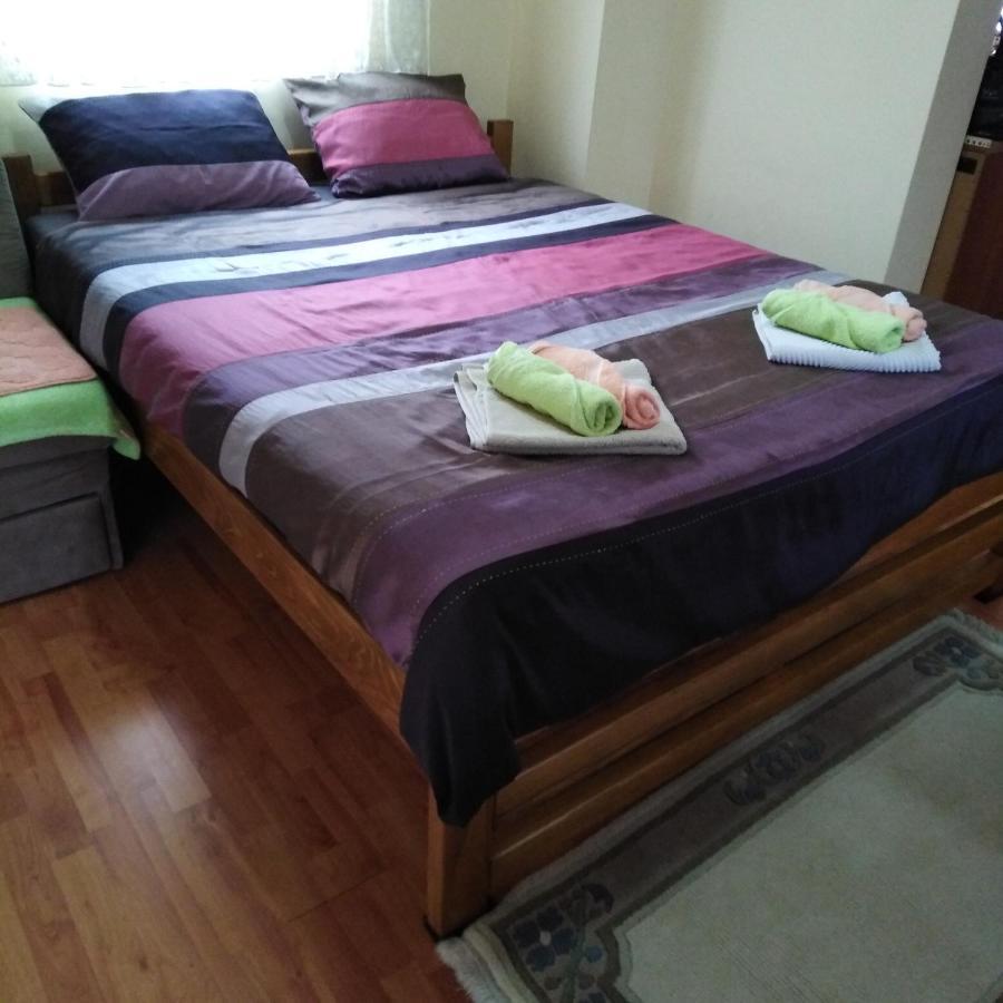 Apartman Sasa Banja Koviljača Exterior foto